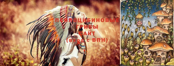 Альфа ПВП Алзамай