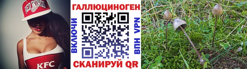 Галлюциногенные грибы MAGIC MUSHROOMS  Среднеколымск 
